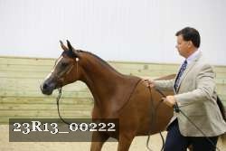 23R13_00222 thumbnail