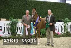 23R13_00236 thumbnail