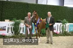 23R13_00237 thumbnail