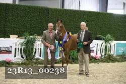 23R13_00238 thumbnail