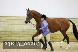 23R13_00263 thumbnail