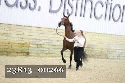 23R13_00266 thumbnail