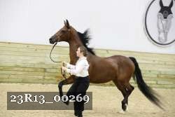 23R13_00269 thumbnail