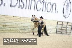 23R13_00271 thumbnail