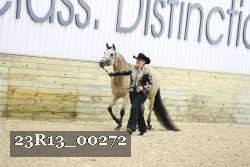 23R13_00272 thumbnail