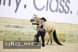 23R13_00273 thumbnail