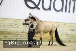 23R13_00274 thumbnail