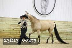 23R13_00275 thumbnail