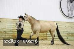 23R13_00276 thumbnail