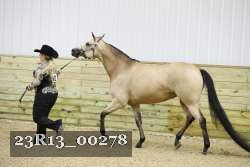 23R13_00278 thumbnail