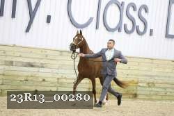 23R13_00280 thumbnail
