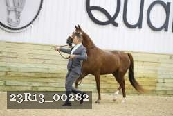 23R13_00282 thumbnail