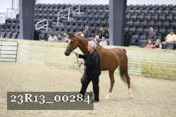 23R13_00284 thumbnail