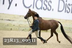 23R13_00311 thumbnail