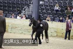 23R13_00314 thumbnail