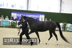 23R13_00321 thumbnail