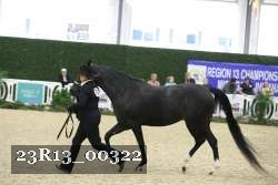 23R13_00322 thumbnail