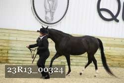 23R13_00324 thumbnail