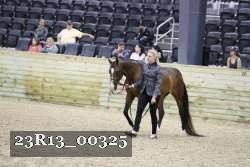 23R13_00325 thumbnail