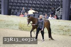 23R13_00326 thumbnail