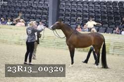 23R13_00329 thumbnail