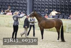23R13_00330 thumbnail