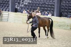 23R13_00331 thumbnail