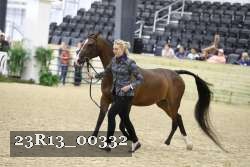 23R13_00332 thumbnail