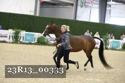 23R13_00333 thumbnail