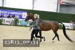 23R13_00334 thumbnail