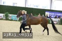 23R13_00335 thumbnail