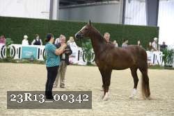 23R13_00342 thumbnail