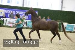 23R13_00347 thumbnail