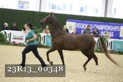 23R13_00348 thumbnail