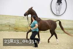 23R13_00351 thumbnail