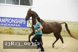 23R13_00352 thumbnail