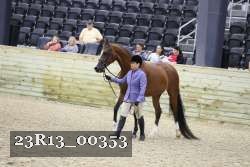 23R13_00353 thumbnail