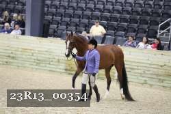 23R13_00354 thumbnail