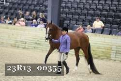23R13_00355 thumbnail