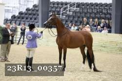 23R13_00357 thumbnail