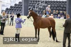 23R13_00360 thumbnail