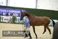 23R13_00361 thumbnail