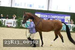 23R13_00362 thumbnail