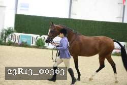 23R13_00363 thumbnail