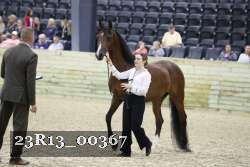 23R13_00367 thumbnail