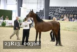 23R13_00368 thumbnail