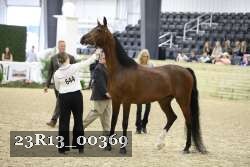 23R13_00369 thumbnail