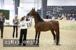 23R13_00371 thumbnail