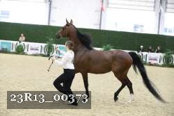 23R13_00373 thumbnail