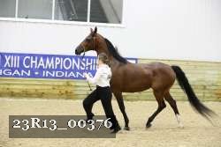 23R13_00376 thumbnail